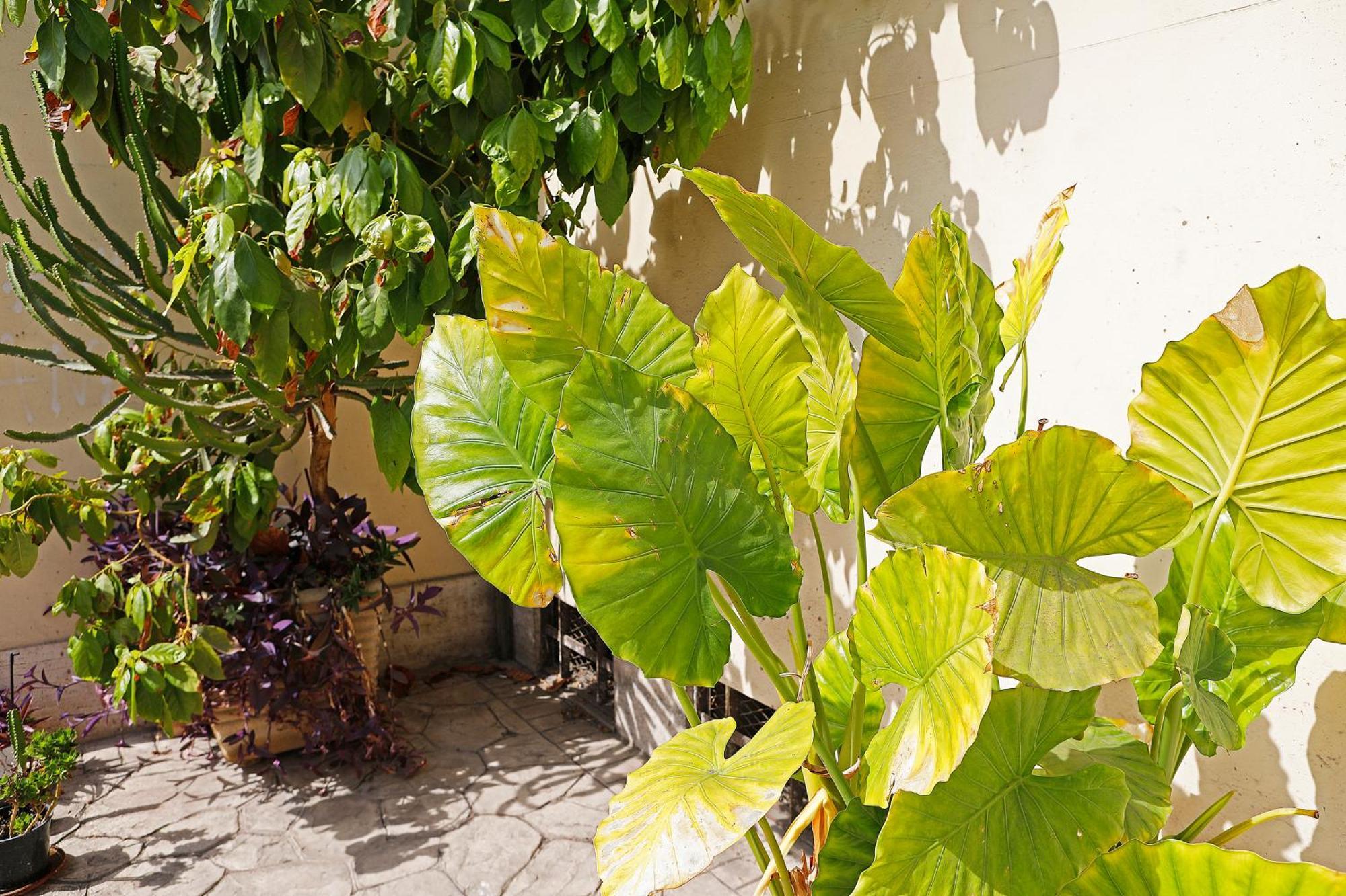 Bed and Breakfast San Martino Roma Exterior foto
